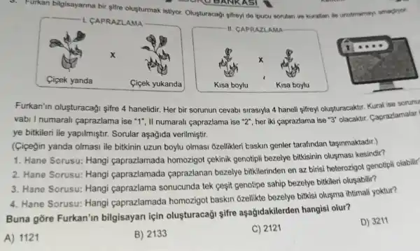 Furkan bilgisayarına bir şifre oluşturmak istiyor. Oluşturacağı şifreyi de ipucu soruları ve kurallan ile unutmamay amaçivyor. Furkan'ın oluşturacağı şifre 4 hanelidir. Her bir sorunun cevabı sırasıyla 4 haneli şifreyi olușturacaktır. Kural ise sorunu vabı I numaralı çaprazlama ise " 1 ", II numaralı çaprazlama ise " 2 ", her iki çaprazlama ise " 3 " olacaktır. Çaprazlamalar ye bitkileri ile yapılmıştır. Sorular aşağıda verilmiştir. (Çiçeğin yanda olması ile bitkinin uzun boylu olması özellikleri baskın genler tarafından taşınmaktadır.) Hane Sorusu: Hangi çaprazlamada homozigot çekinik genotipli bezelye bitkisinin oluşması kesindir? Hane Sorusu: Hangi çaprazlamada çaprazlanan bezelye bitkilerinden en az birisi heterozigot genotipli olabilir Hane Sorusu: Hangi çaprazlama sonucunda tek çeşit genotipe sahip bezelye bitkileri oluşabilir?? Hane Sorusu: Hangi çaprazlamada homozigot baskın özellikte bezelye bitkisi oluşma ihtimali yoktur? Buna göre Furkan'ın bilgisayanı için oluşturacağı şifre aşağıdakilerden hangisi olur? A) 1121 B) 2133 C) 2121 D) 3211