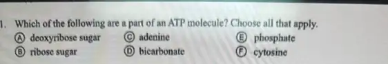 1. Which of the following are a part of an ATP molecule? Choose all that apply.
A deoxyribose sugar
C adenine
E phosphate
B ribose sugar
D bicarbonate
F cytosine