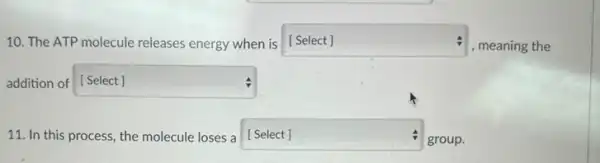 10. The ATP molecule releases energy when is [Select] square 
, meaning the
addition of square 
11. In this process , the molecule loses a square  :
group.