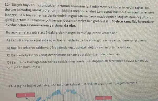 12- Bircok hayvan bulunduklari ortamin zeminine fark edilemeyecek kadar ivi uyum saglar. Bu
durum kamuflaj olarak adlandirilir Siklikla onlarin renkleri tam olarak bulunduklar zeminin rengine
benzer.Bazi hayvanlar ise derilerindek pigmentlerin (renk maddelerinin)dagilimlarini degistirerek
girdigi ortamin zeminine cok benzer desenlenmeler bile gosterebilir. Boylece kamuflaj, hayvanlarin
avcilarindan saklanmasina yardimci da olur.
Bu açiklamalara gore aşagidakilerden hangisi kamuflaja ornek verilebilir?
A) Zehirli anlarin etrafinda uçan bazi sineklerin de bu arilar gibi sari-siyah seritlere sahip olmasi
B) Bazi bóceklerin saldiriya ugradiginda vücudundaki degisik sivilari ortama salmasi
C) Bazi kelebeklerin kanat desenlerine benzer yapraklar uzerinde bulunmasi
D) Zehirli ok kurbagasinin parlak renklenmesi nedeniyle düsmanlari tarafindan kolayca taninip av
olmaktan kurtulmasi
13- Asagida hücre cekirdeginde bulunan kalitsal materyalle arasindaki liski gosterilmistir
square 
square