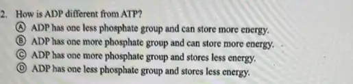 2. How is ADP different from ATP?
A ADP has one less phosphate group and can store more energy.
B ADP has one more phosphate group and can store more energy.
C ADP has one more phosphate group and stores less energy.
D ADP has one less phosphate group and stores less energy.