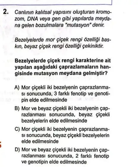 2. Canlinin kalitsal yapisini olusturan kromo-
zom, DNA veya gen gibi yapilarda meyda-
na gelen bozulmalara "mutasyon" denir.
Bezelyelerde mor çigek rengi ozelligi bas-
kin, beyaz çiçek rengi õzelligi gekiniktir.
Bezelyelerde gigek rengi karakterine ait
yapilan aşağidaki caprazlamala rin han-
gisinde mutasyon meydana gelmiştir?
A) Mor çiçekli iki bezelyenin çaprazlanma-
si sonucunda, 3 farkli fenotip ve genoti-
pin elde edilmesinde
B) Mor ve beyaz çigekli iki bezelyenin çap-
razlanmasi sonucunda , beyaz cicekli
bezelyelerin elde edilmesinde
C) Mor çiçekli iki bezelyenin çaprazlanma-
si sonucunda, beyaz çigekli bezelyelerin
elde edilmesinde
D) Mor ve beyaz çigekli iki bezelyenin çap-