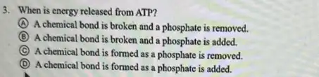 3. When is energy released from ATP?
A
A chemical bond is broken and a phosphate is removed.
B A chemical bond is broken and a phosphate is added.
C A chemical bond is formed as a phosphate is removed
D
A chemical bond is formed as a phosphate is added.