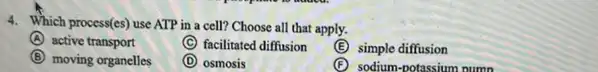 4. Which process(es) use ATP in a cell? Choose all that apply.
(A) active transport
C facilitated diffusion
(E) simple diffusion
B moving organelles
D osmosis
(C) sodium-potassium pumn