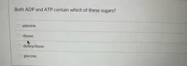 Both ADP and ATP contain which of these sugars?
adenine
ribose
deoxyribose
glucose