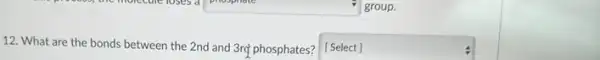 square  group.
12. What are the bonds between the 2nd and 3rợ phosphates? square