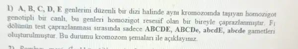 1) A,B,C , D, E genlerini düzenli bir dizi halinde ayni kromozomda tasnyan homozigot
genotipli bir canli, bu genleri homozigot resesif olan bir bireyle caprazlanmiştir. F_(1)
dolünün test caprazlanma strasinda sadece ABCDE, ABCDe , abcdE, abcde gametleri
olusturulmustur. Bu durumu kromozom semalari ile açiklayiniz.