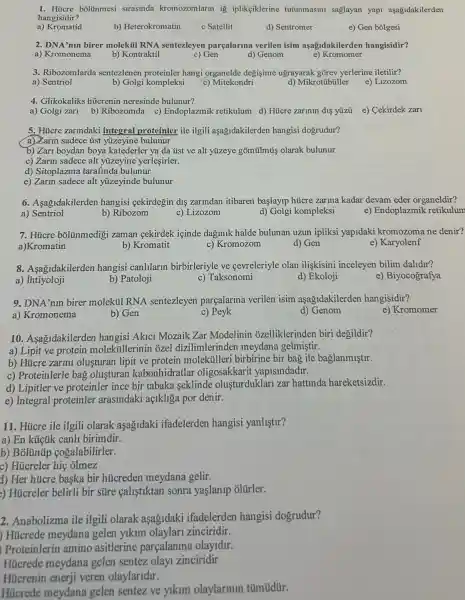 1. Hücre bôlünmesi sirasinda kromozomlarm ig iplikçiklerine tutunmasini saglayan yapi aşağidakilerden
hangisidir?
a) Kromatid
b) Heterokromatin
c Satellit
d) Sentromer
e) Gen bólgesi
2. DNA'nun birer molekill RNA sentezleyen parçalarma verilen isim aşagidakilerden hangisidir?
b) Kontraktil
a) Kromonema
c) Gen
d) Genom
e) Kromomer
3. Ribozomlarda sentezlenen proteinler hangi organelde degisime ugrayarak gōrev yerlerine iletilir?
a) Sentriol
b) Golgi kompleksi
c) Mitekondri
d) Mikrotúbtiller
e) Lizozom
4. Glikokaliks hücrenin neresinde bulunur?
a) Golgi zari b) Ribozomda c)Endoplazmik retikulum d) Hủcre zarinin dis yúzi
e) Cekirdek zari
5. Hücre zarindaki integral proteinler ile ilgili aşağidakilerden hangisi dogrudur?
a) Zarin sadece ủst yüzeyine bulunur
b) Zari boydan boya ya da ủst ve alt yüzeye gõmũlmú olarak bulunur
c) Zarin sadece alt yüzeyine yerleşirler.
d) Sitoplazma tarafinda bulunur
e) Zarm sadece alt yüzeyinde bulunur
6. Aşagidakilerden hangisi cekirdeğin dis zarindan itibaren başlayip húcre zarma kadar devam eder organeldir?
a) Sentriol
b) Ribozom
c) Lizozom
d) Golgi kompleksi
e) Endoplazmik retikulum
7. Hủcre bōlünmedigi zaman cekirdek içinde dağinik halde bulunan uzun ipliksi yapidaki kromozoma ne denir?
a)Kromatin
b) Kromatit
c) Kromozom
d) Gen
e) Karyolenf
8. Asagidakilerden hangisi canlilarin birbirleriyle ve cevreleriyle olan ilişkisini inceleyen bilim dalidir?
e) Biyocografya
a)Ihtiyoloji
b) Patoloji
c) Taksonomi
d) Ekoloji
9. DNA'nin birer molektil RNA sentezleyen parçalarma verilen isim aşağidakilerden hangisidir?
a) Kromonema
b) Gen
c) Peyk
d) Genom
e) Kromomer
10. Asagidakilerden hangisi Akici Mozaik Zar Modelinin ozelliklerinden biri degildir?
a) Lipit ve protein molektillerinin ozel dizilimlerinden meydana gelmiştir.
b) Húcre zarini olusturan lipit ve protein molektilleri birbirine bir bag ile baglanmiştir.
c) Proteinlerle bag olusturan kabonhidratlar oligosakkarit yapisindadir.
d) Lipitler ve proteinler ince bir tabaka seklinde olusturduklari zar hattinda hareketsizdir.
e) Integral proteinler arasindaki açikliga por denir.
11. Húcre ile ilgili olarak aşagidaki ifadelerden hangisi yanlistlr?
a) En kúcúk canh birimdir.
b) Bôlúnúp cogalabilirler.
c) Húcreler hiệ olmez
d) Her hücre başka bir hủcreden meydana gelir.
) Húcreler belirli bir süre çalistiktan sonra yaşlanip olürler.
2. Anabolizma ile ilgili olarak aşagidaki ifadelerden hangisi dogrudur?
) Húcrede meydana gelen yikim olaylari zinciridir.
) Proteinlerin amino asitlerine parçalanma olayidir.
Húcrede meydana gelen sentez olay zinciridir
Hucrenin enerji veren olaylaridur.
Hücrede meydana gelen sentez ve yikim olaylarmin tümtidür.