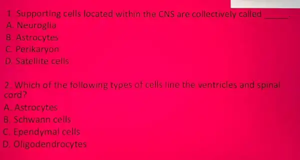 1. Supporting cells located within the CNS are collectively called __
A. Neuroglia
B. Astrocytes
C. Perikaryon
D. Satellite cells
2.Which of the following types of cells line the ventricles and spinal
cord?
A. Astrocytes
B. Schwann cells
C. Ependymal cells
D. Oligodendrocytes