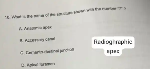 10. What is the name of the structure shown with the number
''T'
A. Anatomic apex
B. Accessory canal
Radioghraphic
apex
C. Cemento-dentinal junction
D. Apical foramen