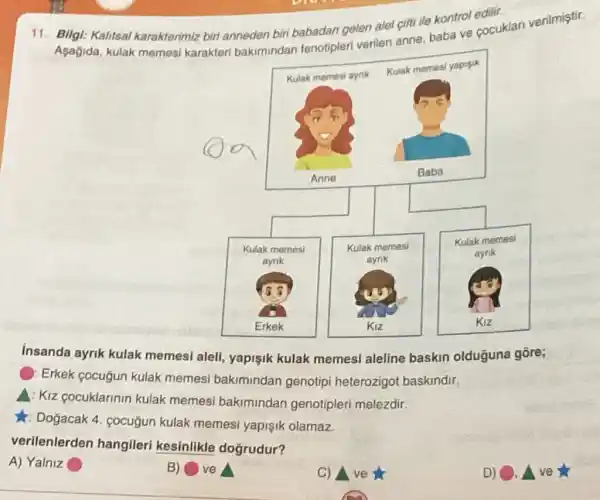 11. Bilgi: Kalitsal karakterimiz biri anneden biri babadan gelen alel cifti ile kontrol edilir.
Agagida, kulak memesi karakteri bakimindan fenotipleri verilen anne baba ve cocuklar verilmiştir.
Kulak memesi ayrik Kulak memesi yapisik
Kulak memesi
ayrik
insanda ayrik kulak memesi alell, yapişik kulak memesi aleline baskin olduguna gōre;
Erkek cocuğun kulak memesi bakimindan genotipi heterozigot baskindir.
A: Kiz cocuklarinin kulak memesi bakimindan genotipleri melezdir.
: Dogacak 4 . cocugun kulak memesi yapişik olamaz
verilenlerden hangileri kesinlikle dogrudur?
A) Yalniz
B) ve A