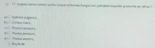 12. CT-Asagida latince isimleri verilen meyve türlerinde hangisi sert cekirdekli meyveler grubunda yer almaz?
Cydonia vulgaris L
Cornus mas L.
Prunus cerasus L
d) Prunus persica L.
e) 0 Prunus avium L
Bos birak