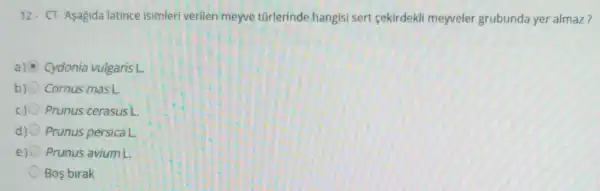 12. CT-Asagida latince isimleri verilen meyve türlerinde hangisi sert cekirdekli meyveler grubunda yer almaz?
a) Cydonia vulgaris L.
b) Cornus mas L.
Prunus cerasus L.
Prunus persica L.
e Prunus avium L.
Bos birak