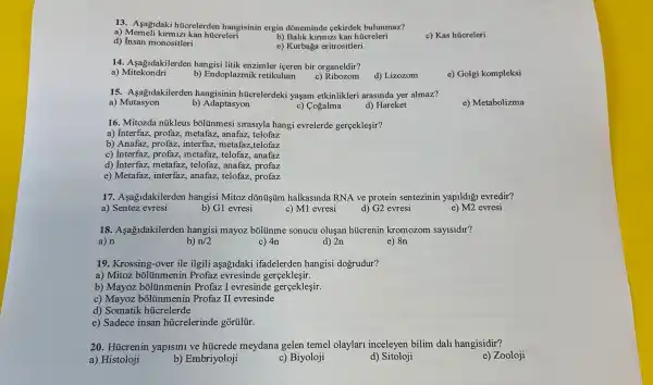 13. Asagidaki hủcrelerden hangisinin ergin dõneminde cekirdek bulunmaz?
a) Memeli kirmizi kan húcreleri
d) Insan monositleri
b) Balik kirmizi kan húcreleri
c) Kas húcreleri
e) Kurbaga eritrositleri
14. Asağidakilerden hangisi litik enzimler içeren bir organeldir?
a)Mitekondri
b) Endoplazmik retikulum
c)Ribozom
d) Lizozom
e) Golgi kompleksi
15. Aşağidakilerden hücrelerdeki yaşam etkinlikleri arasinda yer almaz?
e) Metabolizma
a)Mutasyon
b) Adaptasyon
c) Cogalma
d) Hareket
16. Mitozda núkleus bõlũnmesi sirasiyla hangi evrelerde gerceklesir?
a) Interfaz, profaz,, metafaz, anafaz, telofaz
b) Anafaz, profaz,interfaz, metafaz,telofaz
c) Interfaz, profaz , metafaz, telofaz, anafaz
d) Interfaz, metafaz , telofaz, anafaz, profaz
e) Metafaz, interfaz , anafaz, telofaz, profaz
17. Aşağidakilerden hangisi Mitoz dõnüşủm halkasinda RNA ve protein sentezinin yapildigi evredir?
a) Sentez evresi
b) G1 evresi
c) M1 evresi
d) G2 evresi
e) M2 evresi
18. Aşağidakilerden hangisi mayoz bõliinme sonucu oluşan hücrenin kromozom sayisidir?
a) n
b) n/2
c) 4n
d) 2n
e) 8n
19. Krossing-over ile ilgili aşag1daki ifadelerden hangisi dogrudur?
a) Mitoz bõlünmenin Profaz evresinde gerçekleşir.
b) Mayoz bõlünmenin Profaz I evresinde gerceklesir.
c) Mayoz bôliünmenin Profaz II evresinde
d) Somatik hücrelerde
e) Sadece insan hủcrelerinde gõrủlủr.
20. Hücrenin yapisini ve húcrede meydana gelen temel olaylari inceleyen bilim dah hangisidir?
a) Histoloji
b) Embriyoloji
c) Biyoloji
d)Sitoloji
e) Zooloji