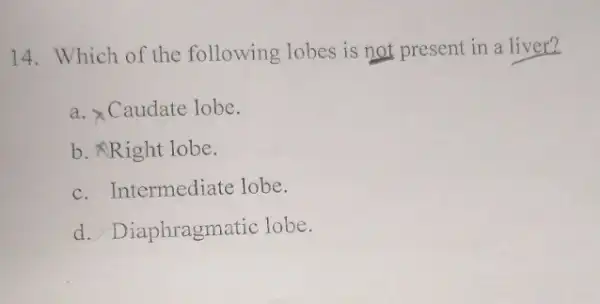 14. Which of the following lobes is not present in a liver?
a. XCaudate lobe.
b. Right lobe.
c. Intermediate lobe.
d. Diaphragm tic lobe.