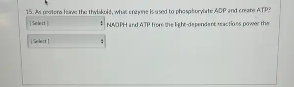 15. As protons leave the thylakoid, what enzyme is used to phosphorylate ADP and create ATP?
square  NADPH and ATP from the light-dependent reactions power the
square  [Select]