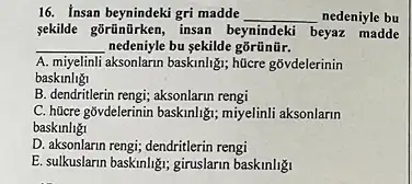 16. Insan beynindekigri madde __ nedeniyle bu
sekilde gōrünürken, insan beynindeki beyaz madde
__ nedeniyle bu sekilde gõrũnür.
A. miyelinli aksonlarun baskinlig,hücre gõvdelerinin
baskinligi
B. dendritlerin rengi; aksonlarun rengi
C. hücre gõvdelerinin baskinligi,miyelinli aksonlarin
baskinligi
D. aksonlarin rengi; dendritlerin rengi
E. sulkuslarm baskinligi; giruslarin basklnlig