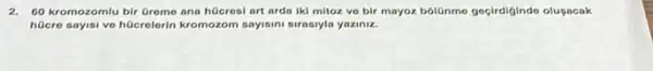 2. 60 kromozomlu bir Greme ana hücresi art arda iki mitoz ve bir mayoz bbitinme geçirdiginde olusacak
hGcre sayisi ve hGcrelerin kromozom sayisini sirasyla yaziny.