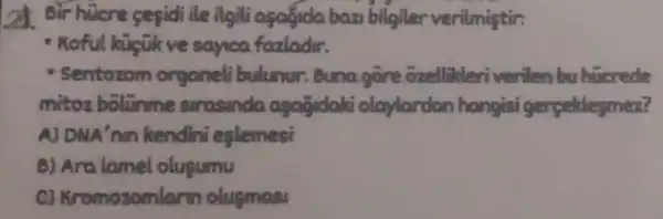 24. Bir hücre sepidi ile ilgili aşajida bazi bilgiler verilmiştir:
- Roful kuçük ve sayica fazladir.
Sentozom organeli bulunur Bunagore ozelliteriventen bu hucrede
mitoz bolinme strasinda apagidaki olaylandan hangisi gerpeklesmez?
A) DNA'nin kendini eslemesi
B) Aralamel olupumu
c)Kromozomlarin olusmas