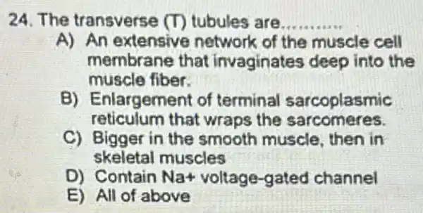 24. The transverse (T) tubules are. __
A) An extensive network of the muscle cell
membrane that invaginates deep into the
muscle fiber.
B) Enlargement of terminal sarcoplasmic
reticulum that wraps the sarcomeres.
C) Bigg er in the smooth muscle, then in
skeletal muscles
D) Contain Na+ voltage-gated channel
E) All of above