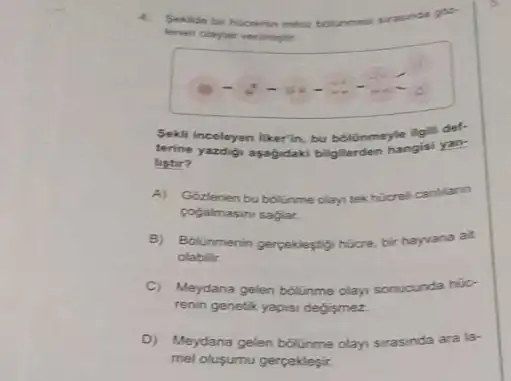 4.
bournes
gas
claytar verimintir
Sekil inceleyen likerin, bu bolanmeyle ligill def-
terine yazdigi asagidaki bilgilerden hangisi yan-
listir?
A)Gózlenen bu bólinme clay tekhicreli canlilann
cogalmasini saglar.
B)Bolunmenin gergeklestigh hucre, br hayvana ait
olabilir.
C Meydana gelen bolunme olay sonucunda huic-
renin genetk yapisi defismez.
D) Meydana gelen bólünme olayi sirasinda ara la-
mel olusumu gerpeklesir.