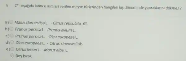 5. CT-Asagida latince isimleri verilen meyve tũrlerinden hangileri kis doneminde yapraklarini dokmez?
Malus domestica L - Citrus reticulata BL.
Prunus persica L.-Prunus avium L.
Prunus persical - Olea europeae L.
d) Olea europaea L.- Citrus sinensis Osb
e) Citrus limon L. - Morus alba. L
Bos birak