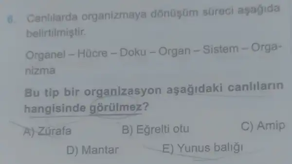 6.
Canlilarda organizme ya dónüsüm sureci agagida
belirtilmiştir.
Organel -Húcre - Doku - Organ -Sistem - Orga .
nizma
Bu tip bir or ganizasyon a sagidaki canlilarin
hangisin de górülmez?
A) Zúrafa
D) Mantar
B) Egrelti otu
E) Yunus ballgi
C) Amip