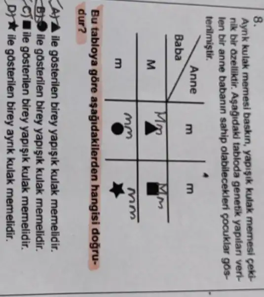 8.
Aynk kulak memesi baskın, yapışık kulak memesi çekinik bir ozelliktir. Aşağıdaki tabloda genetik yapılan verilen bir anne babanın sahip olabilecekleri çocuklar gósterilmiştir.

Bun tabloya göre aşağıdakilerden hangisi doğru- 
dur?

A) 2 ile gösterilen birey yapışık kulak memelidir.
B) ile gösterilen birey yapışık kulak memelidir.
C) mathrm(E) ile gösterilen birey yapışık kulak memelidir.
D) star ile gösterilen birey aynık kulak memelidir.