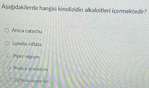 Aşağidakilerde hangisi kinolizidin alkaloitleri icermektedir?
Areca catechu
Lobelia inflata
Piper nigrum
Punica granatum
Cytisus scoparius