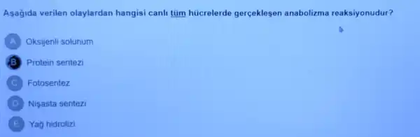 Asagida verilen olaylardan hangisi canli tüm hücrelerde gerceklesen anabolizma reaksiyonudur?
A Oksijenli solunum
Protein sentezi
C Fotosentez
D Nişasta sentezi
E Yag hidrolizi