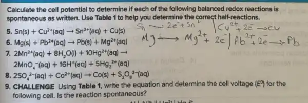 Calculate the cell potential to determine if each of the following balanced redox reactions is
spontaneous as written.. Use Table 1 to help you determine the correct half-reactions.
Sn(s)+Cu^2+(aq)arrow Sn^2+(aq)+Cu(s)
6 Mg(s)+Pb^2+(aq)arrow Pb(s)+Mg^2+(aq)
7. 2Mn^2+(aq)+8H_(2)O(l)+10Hg^2+(aq)arrow 
2MnO_(4)^-(aq)+16H^+(aq)+5Hg_(2)^2+(aq)
8 2SO_(4)^2-(aq)+Co^2+(aq)arrow Co(s)+S_(2)O_(8)^2-(aq)
9 , CHALLENGE Using Table 1 write the equation and determine the cell voltage (E^O) for the
following cell.Is the reaction spontaneous?