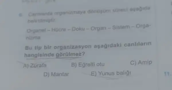 Canlilarda organizmaya agagida
belirtilmiştir.
Organel - Hucre - Doku-Organ - Sistem -Orga-
nizma
Bu tip bir organizasyon asagidaki canlilarin
hangisinde górülmez?
A) Zurafa
B) Egrelti otu
C) Amip
D) Mantar
E) Yunus baligi
11.