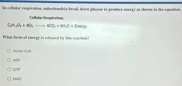 In cellular respiration ,mitochondria break down glucose to produce energy as shown in the equation.
Cellular Respiration
C_(6)H_(12)O_(6)+6O_(2)arrow 6CO_(2)+6H_(2)O+Energy
What form of energy is released by this reaction?
Acetyl CoA
ATP
GTP
NAD