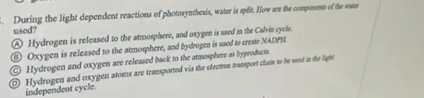 During the light dependent reactions of photosynthesis water is split. How are the components of the water
used?
A
Hydrogen is released to the atmosphere, and oxygen is used in the Calvin cycle.
B
Oxygen is released to the atmosphere, and hydrogen is used to create NADPH.
C
Hydrogen and oxygen are released back to the atmosphere as byproducts.
D
(D) Hydrogen and oxygen atoms are transported via the electron transport chain to be used in the light
independent cycle.