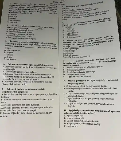 Maddelerin akson ucundaki terminal butonlardan
somaya geri taşinmasina
A. retrograd aksoplazmik tasuma.
__ denir.
B. sistemik aksoplazmik tasuma.
C. anterograd aksoplazmik tasuma.
D. periferik aksoplazmik tasuma.
E. anterograd somatoplazmik tasyma.
1. Rafet gardirobunda bir gũncelleme
düsünüyordu.magazasindaki cesitli
tergahtar su yorumu yapti: "Ah sitli kumaslari
diye yanitladi Rafet. "Bundan kaydeden hüereler hizla atesleniyor olmali." "Ever"
sistemimde artan aktivite var."	__ sinir
A merkezi
B. periferik
C. otonom
D. parasempatik
E sempatik
Her soru 4 puandir.
SORULAR
Iki nõron arasindaki sinapsi gesmek igin, ikinci hücreyi
(postsinaps) aktive etmek veya Inhibe etmek üzere
húcreden (presinaps) __
adi verilen bir madde salinir.
A. norotransmitter
B. protein
C. kinesin
D. dynein
E. mitokondri
4.Schwann hücreleri ile ilgili hangi ifade doğrudur?
A. Schwann hücreleri periferik sinir sistemindeki hucreler için
miyelin saglar.
B. Schwann hticreleri beyinde bulunur.
C. Schwann hücreleri merkezi sinir sisteminde bulunur.
D. Schwann hücreleri, bir dendritin miyelinlenmesi için 25
veya daha fazla demet halinde kümelenir.
E. Schwann hticreleri, beyindek 6lủ nõronlarin biraktigi
hücresel kalintilari temizler.
5. Saltatorik iletimin huli olmasmm sebebi
aşağidakilerden hangisidir?
A. her bir Ranvier duğtimünde bir aksiyon potansiyell yeniden
tetiklenir.
B. myelinli aksonlarin membranlarindan daha fazla sizant,
vardir.
C. myelinli aksonlarin çapi daha büyúktür.
D. myelinli aksonlar, myelinsiz aksonlara gōre birim alan
başina daha fazla iyon kanalina sahiptir.
E. Ranvier dugumleri daha yuksek bir aktivasyon esigine
sahiptir.
D. Aksonlar lie ilgili ayagidaki ifadelerden hangisi
dogrudur?
diger nôronlardan bilagunda olabilit-
C. Aksonlar mitokondriyi barindirt.
C. Aksonlarmitokondrity kindan kullan/lan
E. Insandaki en uzun akson ayaktan
uzanir.
7. __
katilan ve beyindeki nati glial
yapisal olarak
facekeyen yidra sekllindek
hücrelerdir.
A. Mikroglia
B. Astrositler
C. Master hucreler
D. Mikrotubuller
E. Oligodendrositler
8. Yapilan bir tibbi gorüntilem analizi, belirli bir
maddenin kan dolam beynine airmedigini gõstermiştir.
Bu bulgu __
varligini gõstermektedir.
A. kan-beyin bariyeri.
B. kan etkinligi.
C. mikrositler.
D. lipit cift katmani.
E. spesifik sinir enerjileri doktrini.
9. __
içindeki hücrelerin kandaki bir zehir
tarafindan aktive edilmesinin __
ile sonuçlanacag
tahmin edilmektedir.
A. nucleus accumbens; gorsel halüsinasyonlar
B. hippokampus; hareket
C. hipochatamus; hareket bozuklugu
D. area postrema; kusma
E. hippokampus; ofke ifadeleri
10. Aksiyon potansiyeli ile ilgili asagidaki ifadelerden
hangisi doğrudur?
A. Aksiyon potansiyeli bir dendrit boyunca iletilir.
B. Aksiyon potansiyeli myelinsiz sinir hücrelerinde daha hizhi
iletilir.
C. Aksiyon potansiyeli ya hep ya hiệ seklinde gerçeklesen bir
elektriksel olaydir.
D. Yogun bir sinyal için aksiyon potansiyeli genligi daha
yúksektir.
E. Aksiyon potansiyeli genligi akson boyunca konumuna
baglidir.
11. Aşağidaki parametrelerden hangisi duyusal uyaranin
yogunluğundaki degisimi aqiklar?
A. repolarizasyon hizi
B istirahat potansiyeli
C. aksiyon potansiyellerinin iletim hizi
C. aksiyon potansiyellerin toplatin genligi
E. ateşleme hizi