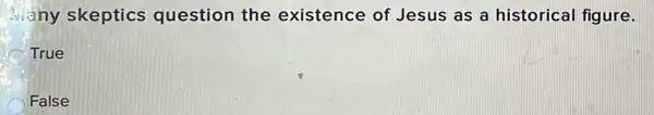 Many skeptics question the existence of Jesus as a historical figure.
True
False