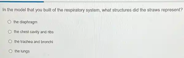 In the model that you built of the respiratory system, what structures did the straws represent?
the diaphragm
the chest cavity and ribs
the trachea and bronch
the lungs