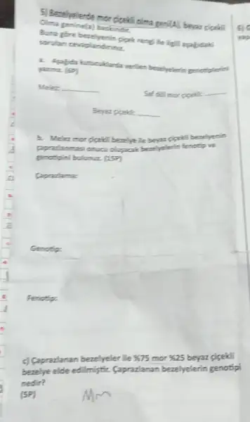 Olma genine(a) baskinder
5) Betelyelerde mor cicelit
Bura gire bezelyenin giget reng) lie ligili apabdal6
sorulan ceraplandinna
beadiyelerin penotiplerini
Meler: __
Saf dol mor pipelific __
Beyaz pigekic __
b. Meleamor gigeltibezelye The beyar gigelifi berelyesin
papralanmas onuc olusacak benelyelerin fenotip ve
genotipini bulunuz (159)
Capralama:
Ge
Fenotip:
c) Caprazlanan bezelyeler ile 25 mor % 25 beyaz picekli
bezelye elde edilmiştir.Caprazlanan bezelyelerin genotipi
nedir?
(5P)