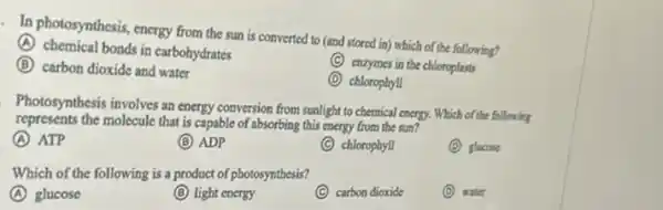 - In photosynthesis, energy from the sun is converted to (and stored in) which of the following?
A chemical bonds in carbohydrates
C
enzymes in the chloroplasts
B carbon dioxide and water
D chlorophyll
Photosynthesis involves an energy conversion from sunlight to chemical energy. Which of the following
represents the molecule that is capable of absorbing this energy from the sun?
A ATP
B ADP
C chlorophyll
D glucose
Which of the following is a product of photosynthesis?
A glucose
B light energy
C carbon dioxide
D water