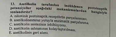 potansiyeller aşağidaki mekanizmalardan
hangisiyle
13. Asetilkolin tarafindan indüklenen
postsinaptik
sonlandirilir?
A. nikotinik postsinaptik reseptorDr parçalanmasi.
B. asetilkolinesteraz yoluyla enzimatik parcalanma.
C asetilkolin sentezinin inhibisyonu.
D. asetikolin salmmmn kolaylastrimasi.
E. asetilkolinin geri alimi.