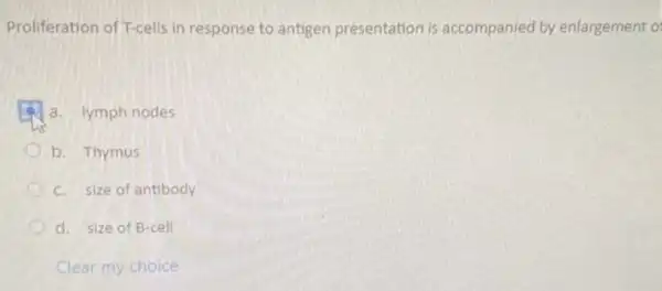 Proliferation of T-cells in response to antigen presentation is accompanied by enlargement of
a. lymph nodes
b. Thymus
c. size of antibody
d. size of B-cell
Clear my choice