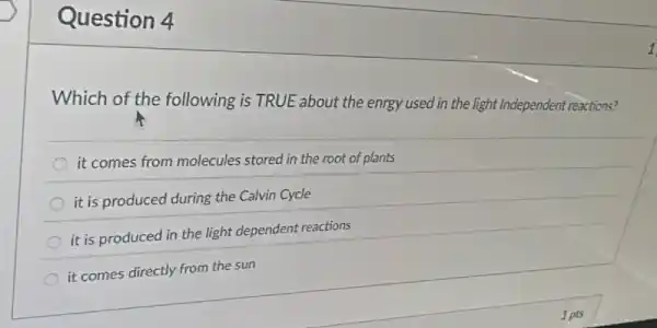 Question 4
Which of the following is TRUE about the enrgy used in the light Independent reactions?
it comes from molecules stored in the root of plants
it is produced during the Calvin Cycle
it is produced in the light dependent reactions
it comes directly from the sun
1 pts
1