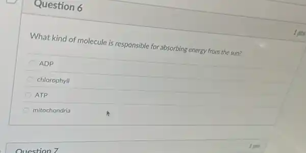 Question 6
What kind of molecule is responsible for absorbing energy from the sun?
ADP
chlorophyll
ATP
mitochondria
Question 7
1 pts
1 pts