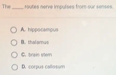 The __ routes nerve impulses from our senses.
A. hippocampus
B. thalamus
C. brain stem
D. corpus callosum