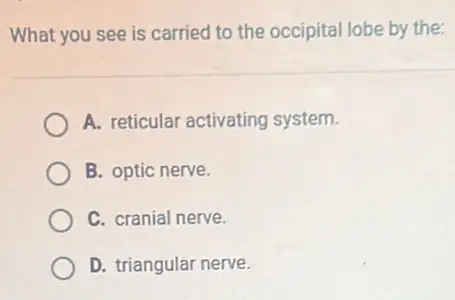 What you see is carried to the occipital lobe by the:
A. reticular activating system.
B. optic nerve.
C. cranial nerve.
D. triangular nerve.