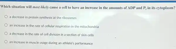 Which situation will most likely cause a cell to have an increase in the amounts of ADP and P_(i) in its cytoplasm?
a decrease in protein synthesis at the ribosomes
an increase in the rate of cellular respiration in the mitochondria
a decrease in the rate of cell division in a section of skin cells
an increase in muscle usage during an athlete's performance