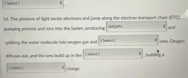 square  :
14. The photons of light excite electrons and jump along the electron transport chain (ETC).
pumping protons and ions into the lumen, producing
square  : and
splitting the water molecule into oxygen gas and
square  :
ions. Orygen
diffuses out, and the ions build up in the
square  : building a
square  : charge.