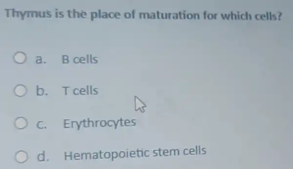 Thymus is the place of maturation for which cells?
a. B cells
b. Tcells
c. Ery throcytes
d. H lematopoi etic stem cells