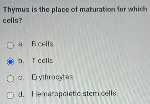 Thymus is the place of maturation for which
cells?
a. B cells
b. T cells
c. Erythrocytes
d. Hematopoietic stem cells