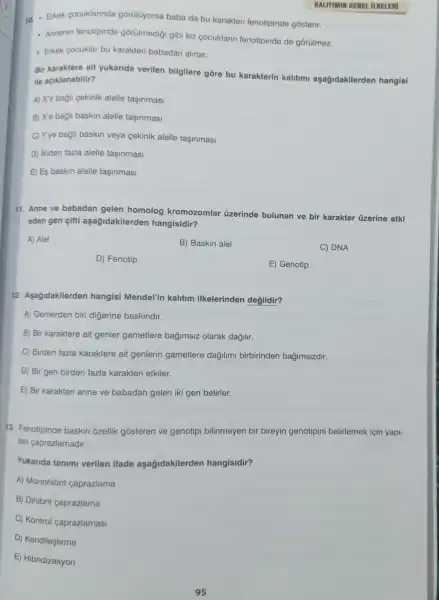 10.Erkek cocuklarinda gorülüyorsa baba da bu karakteri fenotipinde gósterir.
- Annenin fenotipinde gōrülmedigi gibi kiz cocuklarin fenotipinde de gorülmez.
- Erkek cocuklar bu karakteri babadan alirlar.
Bir karaktere ait yukarida verilen bilgilere gore bu karakterin kalitimi aşağidakilerden hangisi
ile açiklanabilir?
A) X'e bagli cekinik alelle tasinmasi
B) X'e bagli baskin alelle tasinmasi
C) Yye bagli baskin veya cekinik alelle taşinmasi
D) ikiden fazla alelle tasinmasi
E) Es baskin alelle taşinmasi
11. Anne ve babadan gelen homolog kromozomlar uzerinde bulunan ve bir karakter üzerine etki
eden gen cifti aşağidakilerden hangisidir?
A) Alel
B) Baskin alel
C) DNA
D) Fenotip
E) Genotip
12 Aşağidakilerden hangisi Mendel'in kalitim ilkelerinden degildir?
A)Genlerden biri digerine baskindir.
B) Bir karaktere ait genler gametlere bagimsiz olarak dağilir.
C) Birden fazla karaktere ait genlerin gametlere dagilimi birbirinden bagimsizdir.
D) Bir gen birden fazla karakteri etkiler.
E) Bir karakteri anne ve babadan gelen iki gen belirler.
13. Fenotipinde baskin ozellik gosteren ve genotipi bilinmeyen bir bireyin genotipini belirlemek icin yapi-
Ian caprazlamadir.
Yukarida tanimi verilen ifade aşagidakilerden hangisidir?
A)Monohibrit caprazlama
B) Dihibrit caprazlama
C) Kontrol caprazlamasi
D)Kendileştirme
E)Hibridizasyon